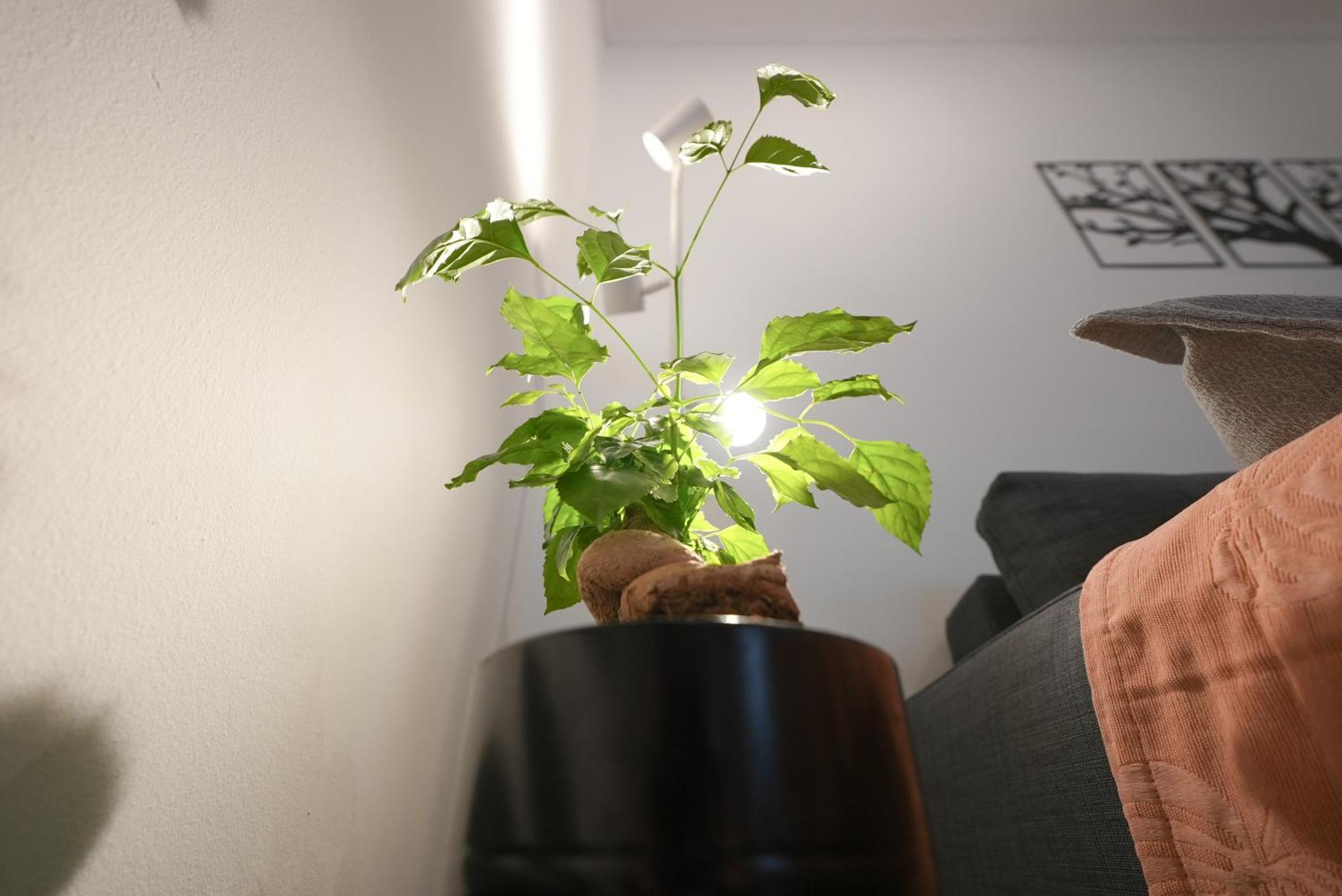 Syntagma Square, 50Sqm Nikis Luxurious Apartment Athen Eksteriør bilde